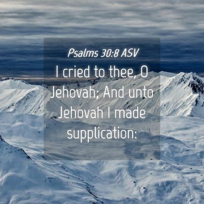 Picture 04 - Psalms 30:8 ASV - I cried to thee, O Jehovah; And unto Jehovah I - Bible Verse Picture