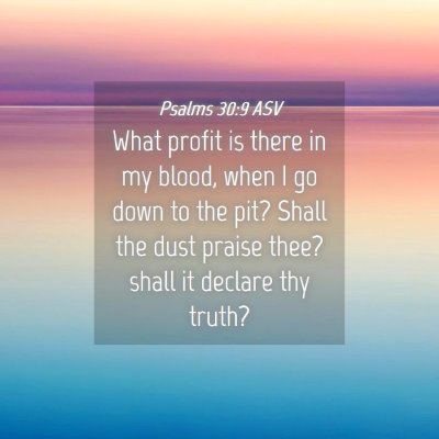 Picture 04 - Psalms 30:9 ASV - What profit is there in my blood, when I go down - Bible Verse Picture