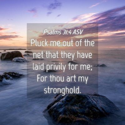 Picture 04 - Psalms 31:4 ASV - Pluck me out of the net that they have laid - Bible Verse Picture