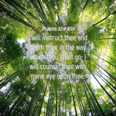 Picture 04 - Psalms 32:8 ASV - I will instruct thee and teach thee in the way - Bible Verse Picture