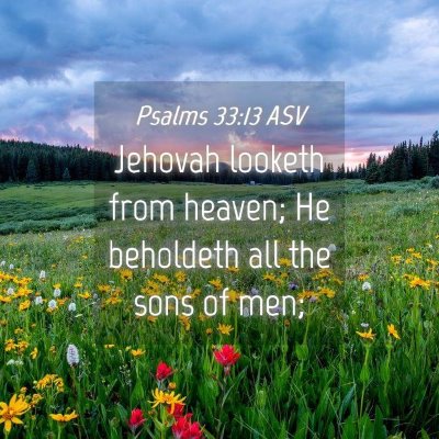 Picture 04 - Psalms 33:13 ASV - Jehovah looketh from heaven; He beholdeth all the - Bible Verse Picture