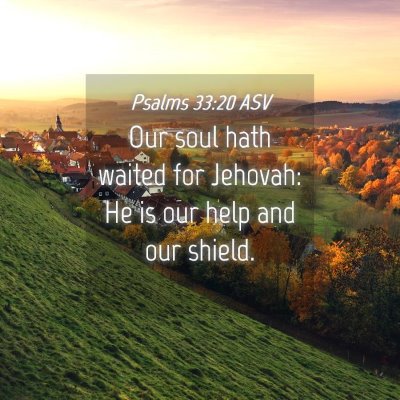Picture 04 - Psalms 33:20 ASV - Our soul hath waited for Jehovah: He is our help - Bible Verse Picture