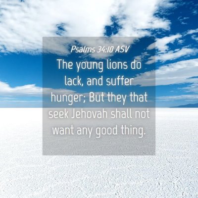 Picture 04 - Psalms 34:10 ASV - The young lions do lack, and suffer hunger; But - Bible Verse Picture