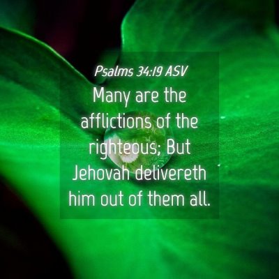 Picture 04 - Psalms 34:19 ASV - Many are the afflictions of the righteous; But - Bible Verse Picture