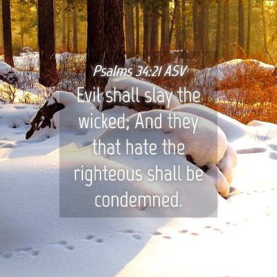 Picture 04 - Psalms 34:21 ASV - Evil shall slay the wicked; And they that hate - Bible Verse Picture