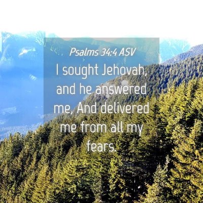 Picture 04 - Psalms 34:4 ASV - I sought Jehovah, and he answered me, And - Bible Verse Picture
