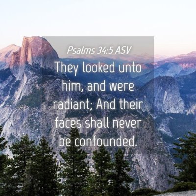 Picture 04 - Psalms 34:5 ASV - They looked unto him, and were radiant; And their - Bible Verse Picture