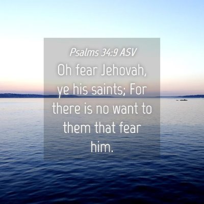 Picture 04 - Psalms 34:9 ASV - Oh fear Jehovah, ye his saints; For there is no - Bible Verse Picture
