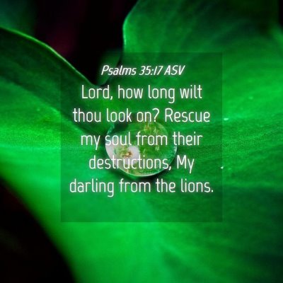 Picture 04 - Psalms 35:17 ASV - Lord, how long wilt thou look on? Rescue my soul - Bible Verse Picture