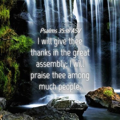 Picture 04 - Psalms 35:18 ASV - I will give thee thanks in the great assembly: I - Bible Verse Picture