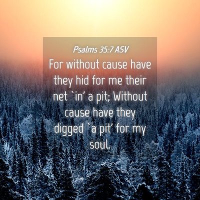 Picture 04 - Psalms 35:7 ASV - For without cause have they hid for me their net - Bible Verse Picture