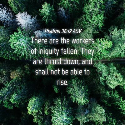 Picture 04 - Psalms 36:12 ASV - There are the workers of iniquity fallen: They - Bible Verse Picture
