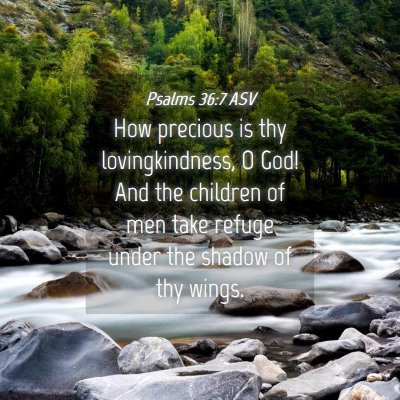 Picture 04 - Psalms 36:7 ASV - How precious is thy lovingkindness, O God! And - Bible Verse Picture
