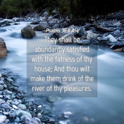 Picture 04 - Psalms 36:8 ASV - They shall be abundantly satisfied with the - Bible Verse Picture