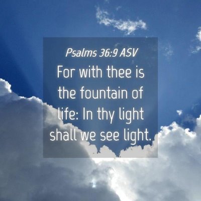 Picture 04 - Psalms 36:9 ASV - For with thee is the fountain of life: In thy - Bible Verse Picture