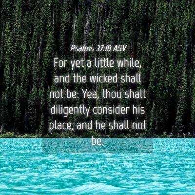 Picture 04 - Psalms 37:10 ASV - For yet a little while, and the wicked shall not - Bible Verse Picture