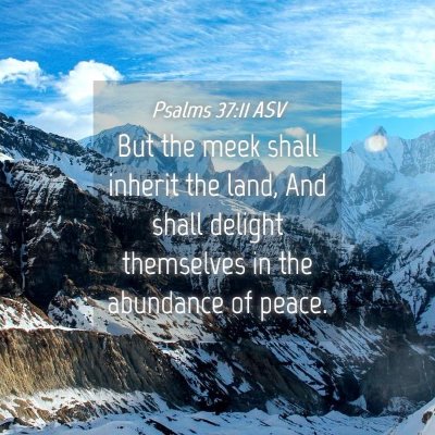 Picture 04 - Psalms 37:11 ASV - But the meek shall inherit the land, And shall - Bible Verse Picture