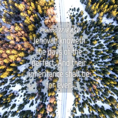 Picture 04 - Psalms 37:18 ASV - Jehovah knoweth the days of the perfect; And - Bible Verse Picture