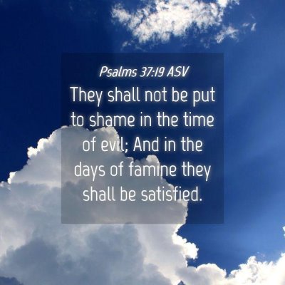 Picture 04 - Psalms 37:19 ASV - They shall not be put to shame in the time of - Bible Verse Picture