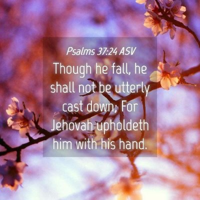 Picture 04 - Psalms 37:24 ASV - Though he fall, he shall not be utterly cast - Bible Verse Picture