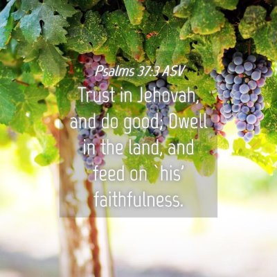 Picture 04 - Psalms 37:3 ASV - Trust in Jehovah, and do good; Dwell in the land, - Bible Verse Picture