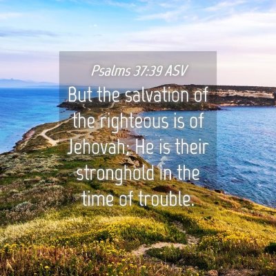 Picture 04 - Psalms 37:39 ASV - But the salvation of the righteous is of Jehovah; - Bible Verse Picture