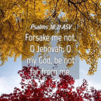 Picture 04 - Psalms 38:21 ASV - Forsake me not, O Jehovah: O my God, be not far - Bible Verse Picture