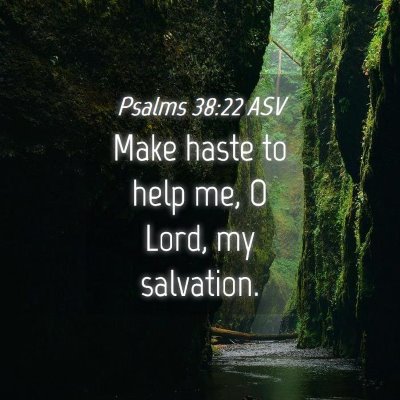 Picture 04 - Psalms 38:22 ASV - Make haste to help me, O Lord, my - Bible Verse Picture