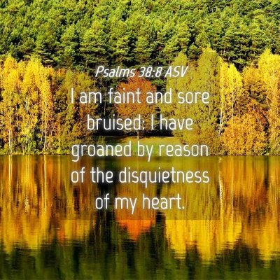 Picture 04 - Psalms 38:8 ASV - I am faint and sore bruised: I have groaned by - Bible Verse Picture