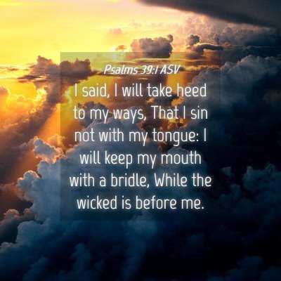 Picture 04 - Psalms 39:1 ASV - I said, I will take heed to my ways, That I sin - Bible Verse Picture