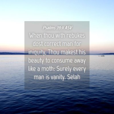 Picture 04 - Psalms 39:11 ASV - When thou with rebukes dost correct man for - Bible Verse Picture