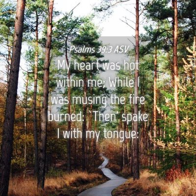 Picture 04 - Psalms 39:3 ASV - My heart was hot within me; While I was musing - Bible Verse Picture