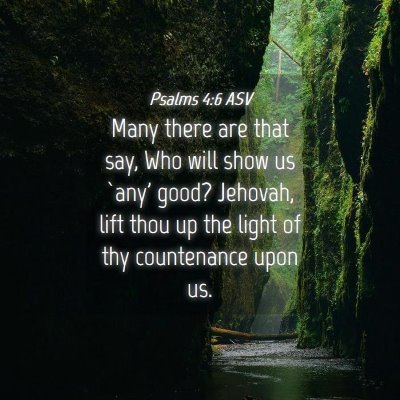 Picture 04 - Psalms 4:6 ASV - Many there are that say, Who will show us `any' - Bible Verse Picture