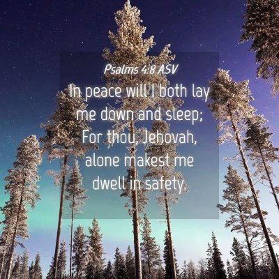 Picture 04 - Psalms 4:8 ASV - In peace will I both lay me down and sleep; For - Bible Verse Picture