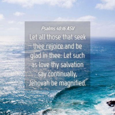 Picture 04 - Psalms 40:16 ASV - Let all those that seek thee rejoice and be glad - Bible Verse Picture