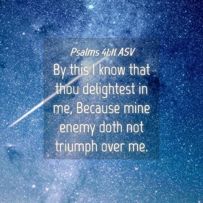 Picture 04 - Psalms 41:11 ASV - By this I know that thou delightest in me, - Bible Verse Picture