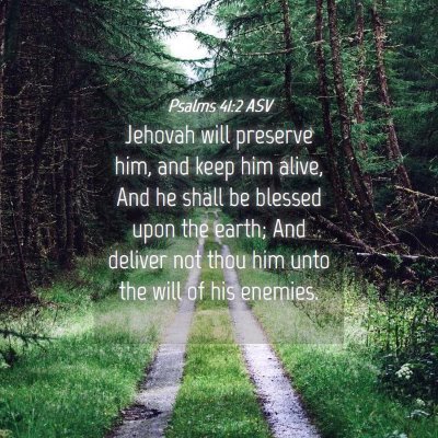 Picture 04 - Psalms 41:2 ASV - Jehovah will preserve him, and keep him alive, - Bible Verse Picture