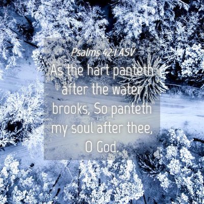 Picture 04 - Psalms 42:1 ASV - As the hart panteth after the water brooks, So - Bible Verse Picture
