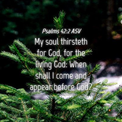 Picture 04 - Psalms 42:2 ASV - My soul thirsteth for God, for the living God: - Bible Verse Picture