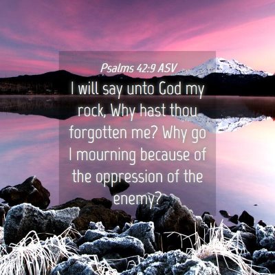 Picture 04 - Psalms 42:9 ASV - I will say unto God my rock, Why hast thou - Bible Verse Picture