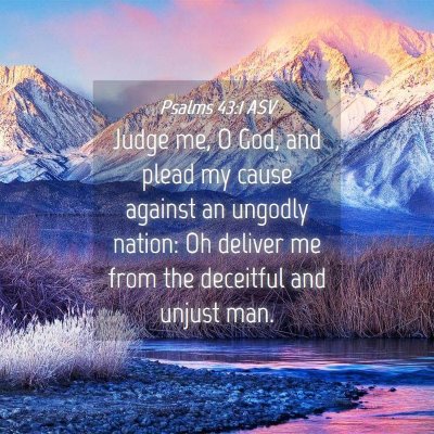 Picture 04 - Psalms 43:1 ASV - Judge me, O God, and plead my cause against an - Bible Verse Picture