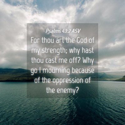 Picture 04 - Psalms 43:2 ASV - For thou art the God of my strength; why hast - Bible Verse Picture