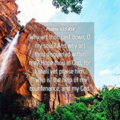 Picture 04 - Psalms 43:5 ASV - Why art thou cast down, O my soul? And why art - Bible Verse Picture