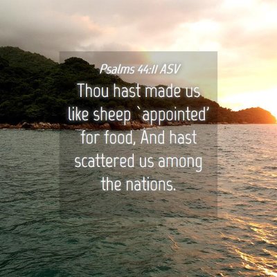Picture 04 - Psalms 44:11 ASV - Thou hast made us like sheep `appointed' for - Bible Verse Picture
