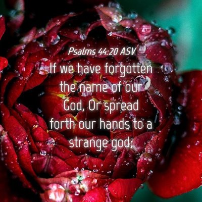 Picture 04 - Psalms 44:20 ASV - If we have forgotten the name of our God, Or - Bible Verse Picture