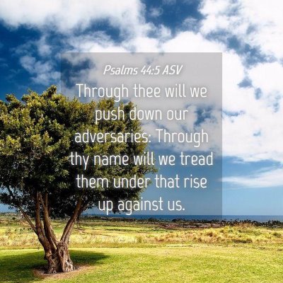 Picture 04 - Psalms 44:5 ASV - Through thee will we push down our adversaries: - Bible Verse Picture