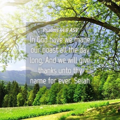 Picture 04 - Psalms 44:8 ASV - In God have we made our boast all the day long, - Bible Verse Picture