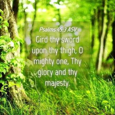 Picture 04 - Psalms 45:3 ASV - Gird thy sword upon thy thigh, O mighty one, Thy - Bible Verse Picture