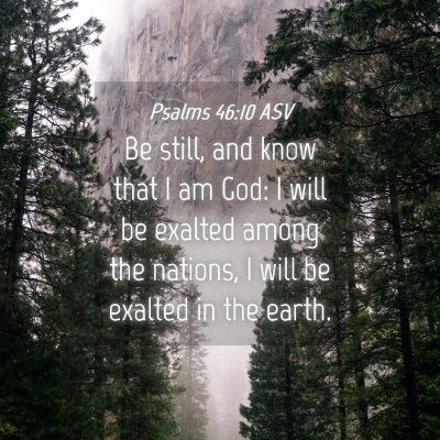 Picture 04 - Psalms 46:10 ASV - Be still, and know that I am God: I will be - Bible Verse Picture