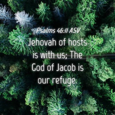 Picture 04 - Psalms 46:11 ASV - Jehovah of hosts is with us; The God of Jacob is - Bible Verse Picture